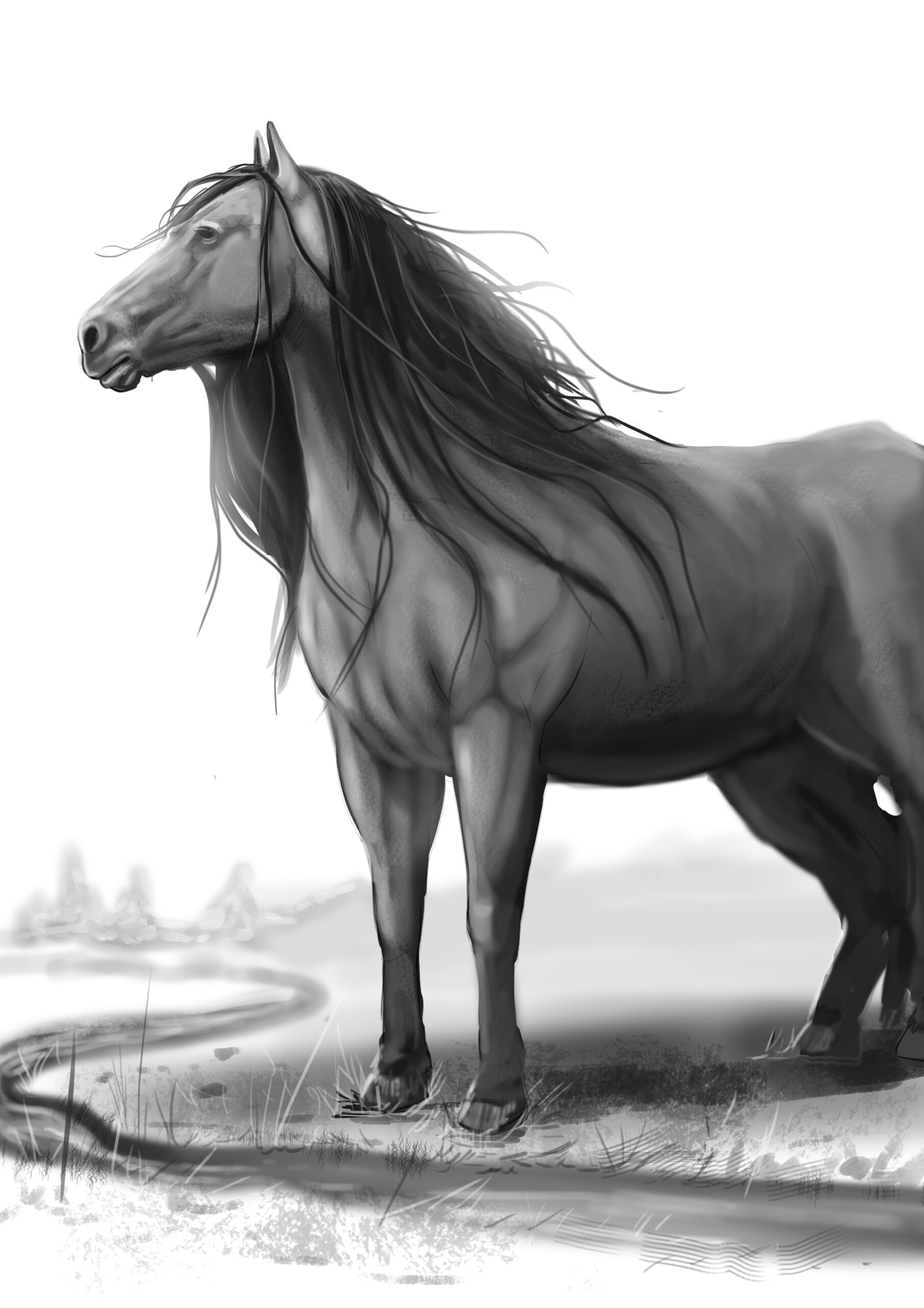 Intelligent  but wild species of fantasy horse. Fantasy fauna illustration for Lance Vangundy, by The Noble Artist